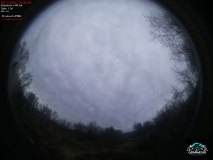 2026-10-08