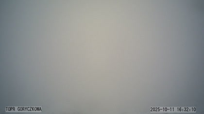 2025-10-11
