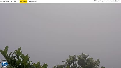 2026-06-23