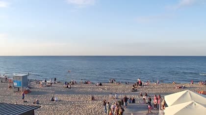 2026-08-09