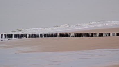2025-10-07