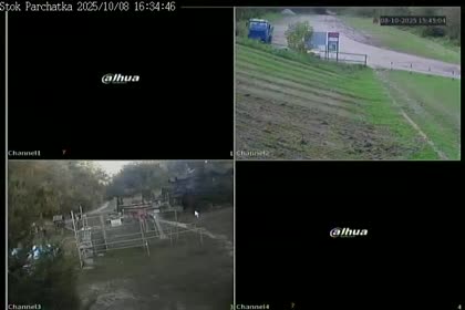 2025-10-08