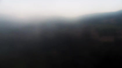 2025-08-05