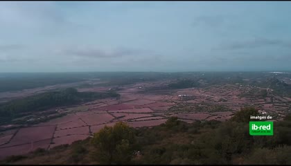2025-09-07