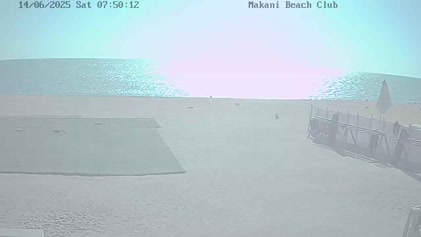 2025-06-14