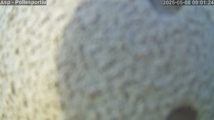 2025-05-08