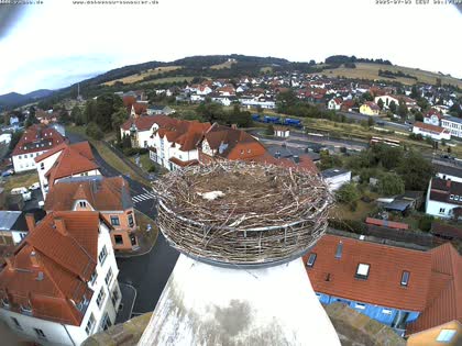 2025-07-03