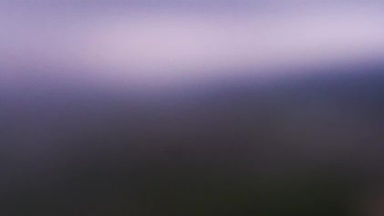 2025-05-29
