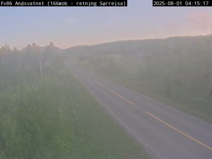 2025-08-01