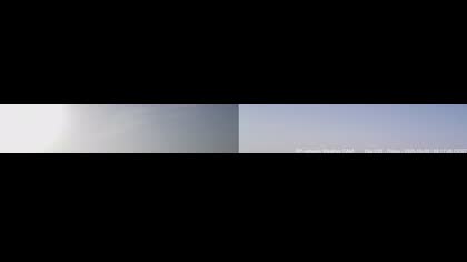 2025-08-08