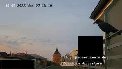 2025-10-08