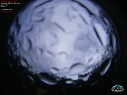 2026-05-24