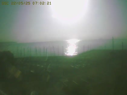 2025-05-22