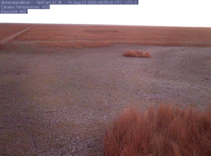 2026-08-21