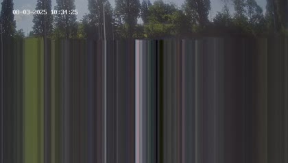2025-08-04