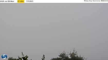 2025-07-28