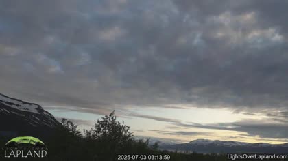 2025-07-03