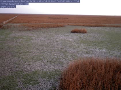 2026-07-27