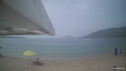 2026-08-28