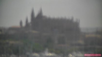 2025-07-21