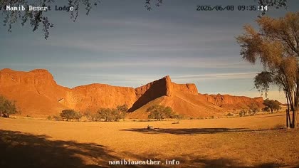 2026-06-08