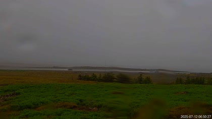 2025-07-12