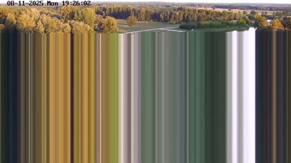 2025-08-11