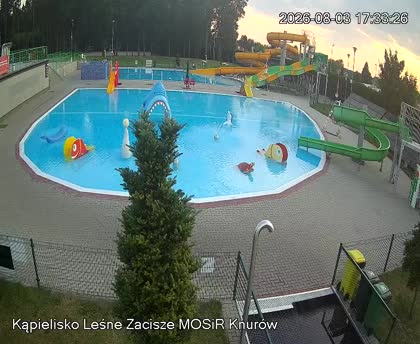 2026-08-03