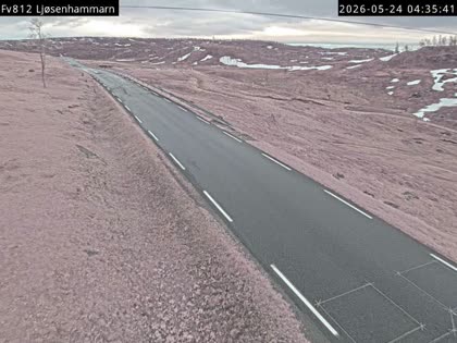 2026-05-24