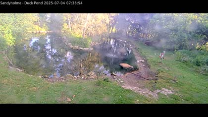 2025-07-04