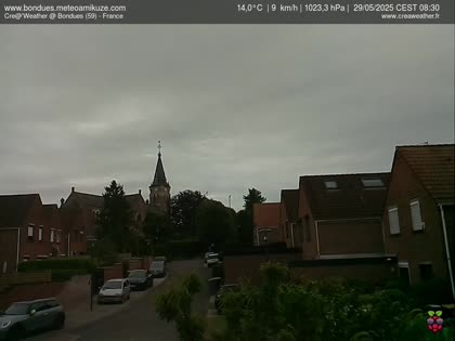 2025-05-29
