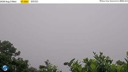 2026-08-03