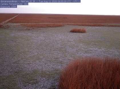 2026-08-11