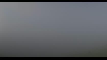 2025-08-01