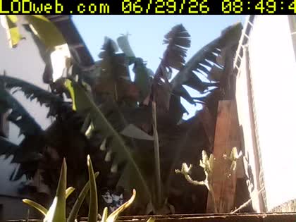 2026-06-29