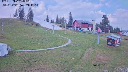 2025-08-04