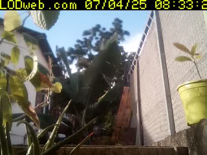 2025-07-04