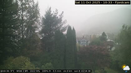 2025-10-11