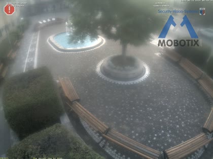 2025-06-11