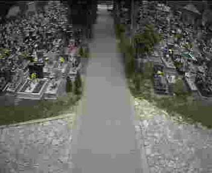 2025-06-01