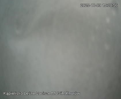 2025-10-09