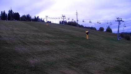 2026-10-10