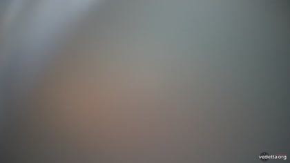 2025-08-19