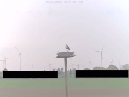 2025-04-23