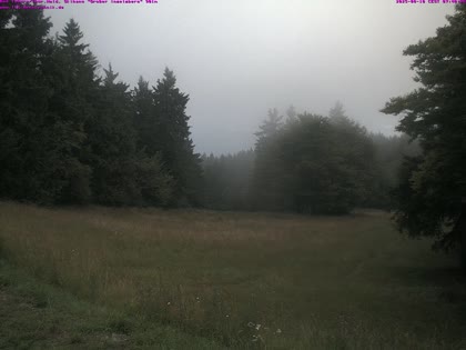2025-08-10