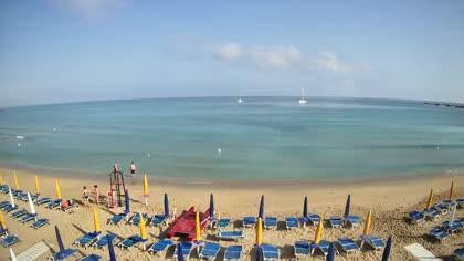 2026-07-28