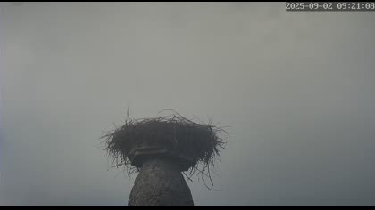 2025-09-03