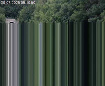 2025-07-30