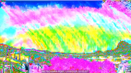 2025-09-11