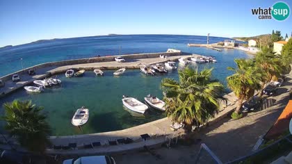 2026-10-14